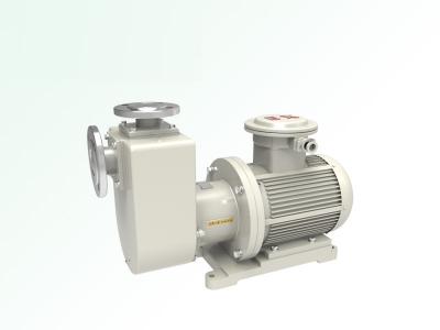 TZCQ無(wú)泄漏磁力自吸泵